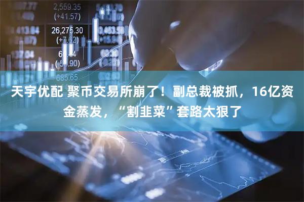 天宇优配 聚币交易所崩了！副总裁被抓，16亿资金蒸发，“割韭菜”套路太狠了