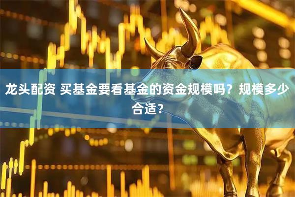 龙头配资 买基金要看基金的资金规模吗？规模多少合适？