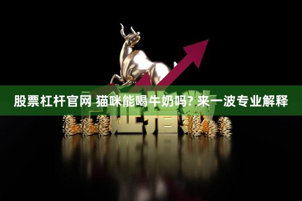 股票杠杆官网 猫咪能喝牛奶吗? 来一波专业解释