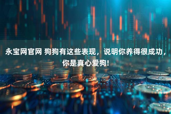 永宝网官网 狗狗有这些表现，说明你养得很成功，你是真心爱狗!