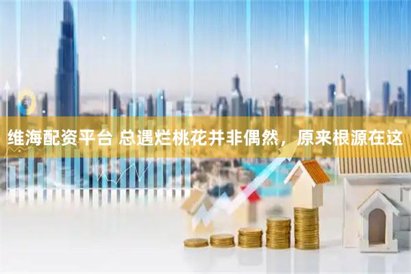 维海配资平台 总遇烂桃花并非偶然，原来根源在这